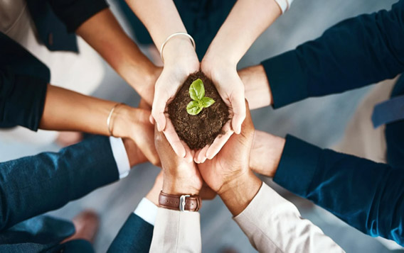 Changzhou Baonong Co Teicneolaíocht Ábhar Nua, Teo.